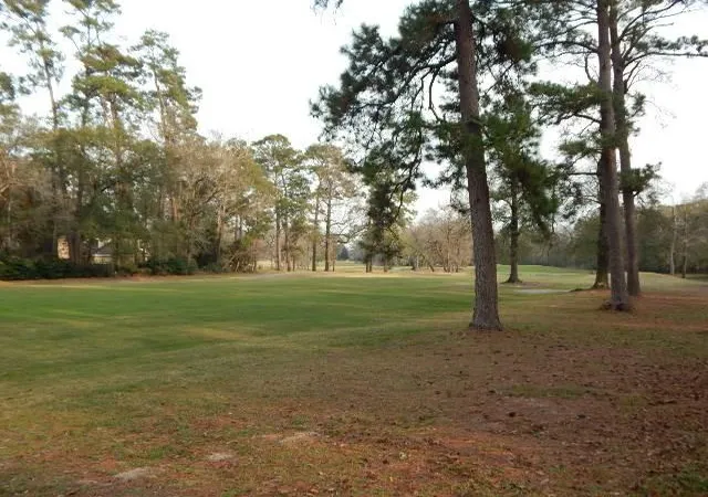 Photo 3 of Single family home for sale at 615 River Plantation Dr, Conroe, TX 77302 | MLS# 63639002 | Listing updated on 2026-09-03