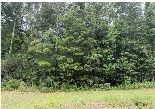Photo 2 of Land for sale at 0 Soda Loop E, Livingston, TX 77351 | MLS# 75018116 | Listing updated on 2026-08-19