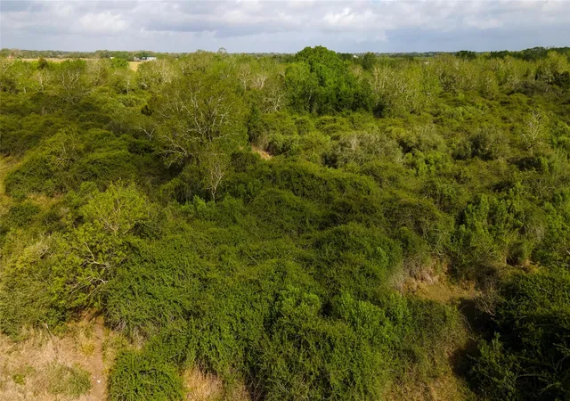 Homes for sale in Blessing, TX | 000 County Road 464, Blessing, TX 77419 | MLS# 33603713
