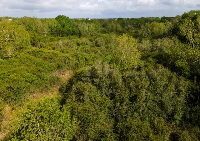Homes for sale in Blessing, TX | 000 County Road 464, Blessing, TX 77419 | MLS# 33603713