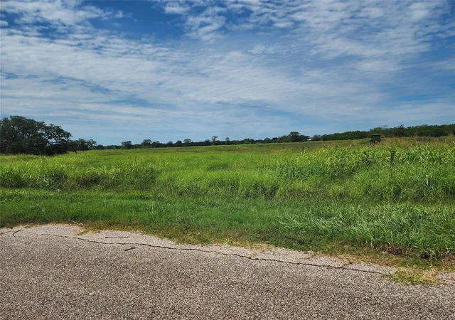 Photo 1 of Land for sale at 16410 Majestic Oaks Dr, Rosharon, TX 77583 | MLS# 91261808 | Listing updated on 2026-08-10