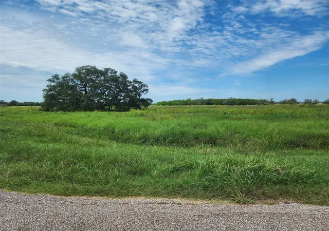 Photo 8 of Land for sale at 16410 Majestic Oaks Dr, Rosharon, TX 77583 | MLS# 91261808 | Listing updated on 2026-08-10
