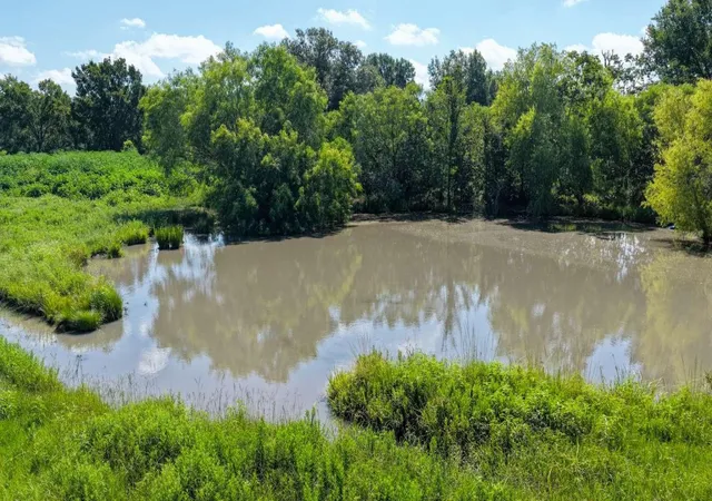 Photo 2 of Land for sale at 0 Fm 2158 Tx, Midway, TX 75852 | MLS# 82396395 | Listing updated on 2026-07-17
