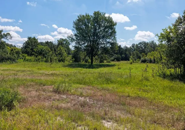 Photo 3 of Land for sale at 0 Fm 2158 Tx, Midway, TX 75852 | MLS# 82396395 | Listing updated on 2026-07-17