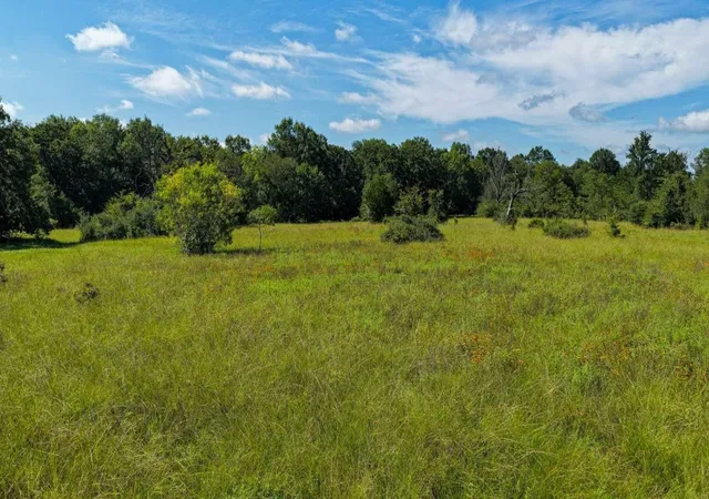 Photo 4 of Land for sale at 0 Fm 2158 Tx, Midway, TX 75852 | MLS# 82396395 | Listing updated on 2026-07-17