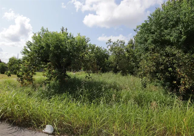 Photo 4 of Land for sale at 1202 Vera Lou St, Houston, TX 77051 | MLS# 56519478 | Listing updated on 2026-07-13