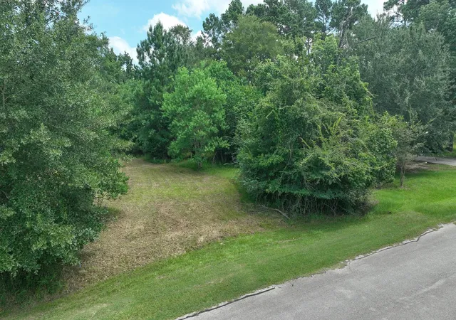 3rd image of 18718 Connie Ave, Magnolia, TX 77355 | MLS# 55952983