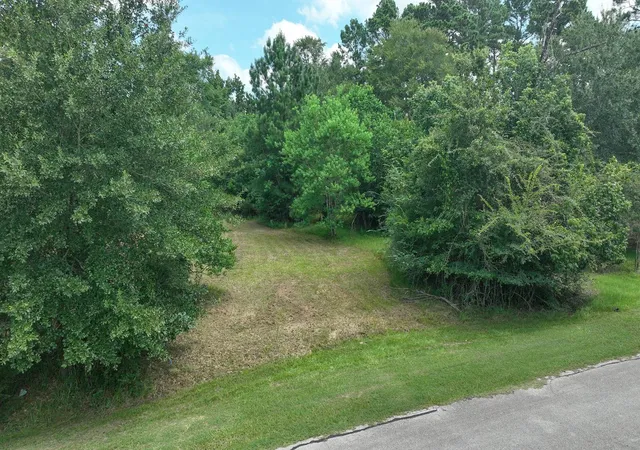 4th image of 18718 Connie Ave, Magnolia, TX 77355 | MLS# 55952983