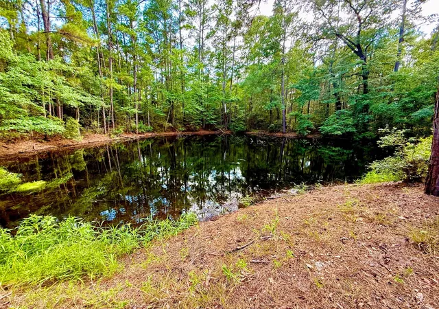 1st image of Tbd Cr 4740, Kennard, TX 75847 | MLS# 47715092