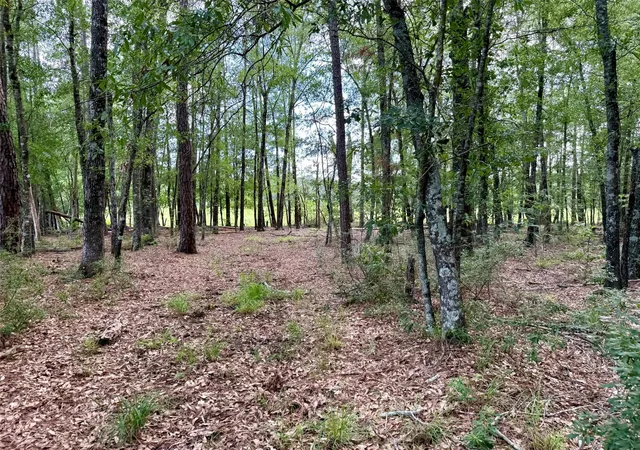 4th image of Tbd Cr 4740, Kennard, TX 75847 | MLS# 47715092