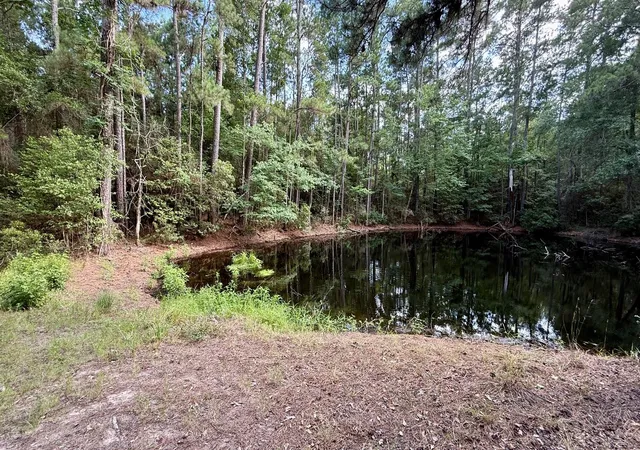 5th image of Tbd Cr 4740, Kennard, TX 75847 | MLS# 47715092