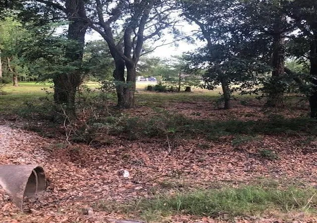 Photo 2 of Land for sale at 2226 County Rd 57, Rosharon, TX 77583 | MLS# 44618946 | Listing updated on 2026-07-24