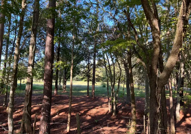 Photo 4 of Land for sale at 2226 County Rd 57, Rosharon, TX 77583 | MLS# 44618946 | Listing updated on 2026-07-24