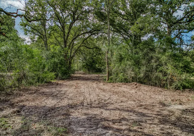 Photo 1 of Land for sale at Tract 2 Sun Oil Rd, Brenham, TX 77833 | MLS# 81761032 | Listing updated on 2026-09-04