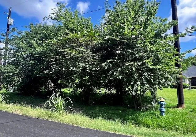 Photo 4 of Sale Pending at 5125 Clover St, Houston, TX 77033 | MLS# 65805990 | Listing updated on 2026-09-18