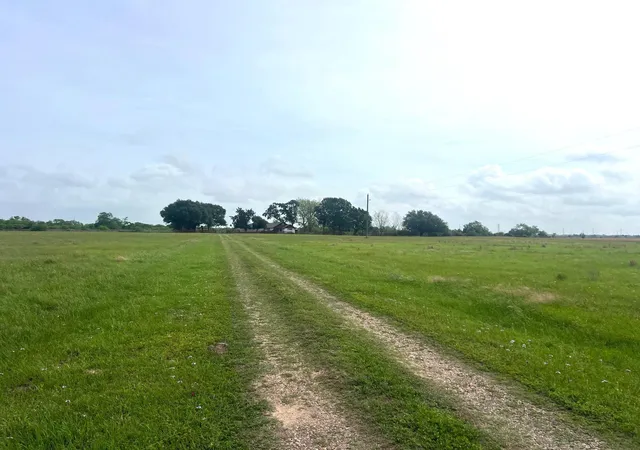 Homes for sale in Wallis, TX | 3798 Johnston Rd, Wallis, TX 77485 | MLS# 9666866