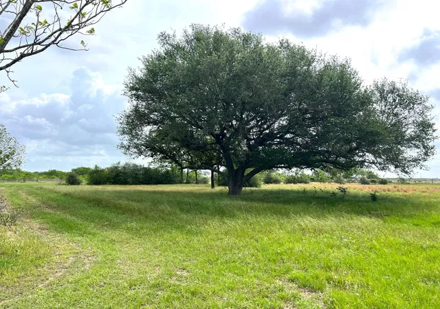 Homes for sale in Wallis, TX | 3798 Johnston Rd, Wallis, TX 77485 | MLS# 9666866