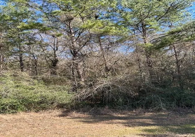 Photo 2 of Land for sale at 7994 Rodeo Dr, Waller, TX 77484 | MLS# 35776103 | Listing updated on 2026-05-01