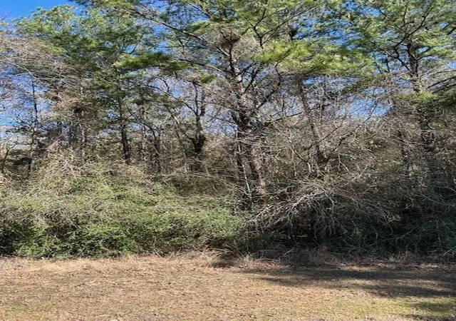 Photo 3 of Land for sale at 7994 Rodeo Dr, Waller, TX 77484 | MLS# 35776103 | Listing updated on 2026-05-01