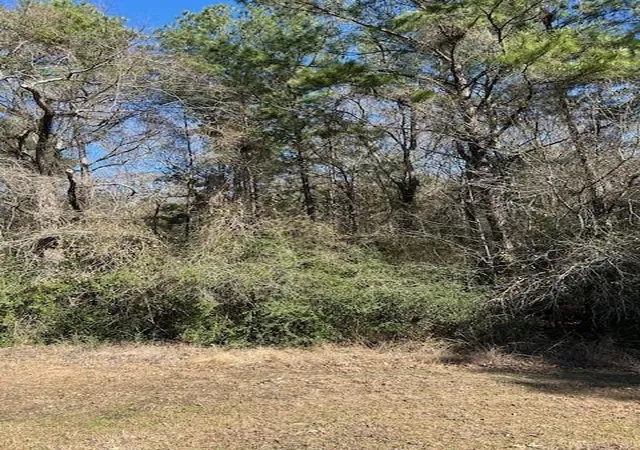 Photo 4 of Land for sale at 7994 Rodeo Dr, Waller, TX 77484 | MLS# 35776103 | Listing updated on 2026-05-01