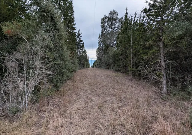 Photo 3 of Land for sale at 1001 County Road 126, Hallettsville, TX 77964 | MLS# 88022648 | Listing updated on 2026-08-24