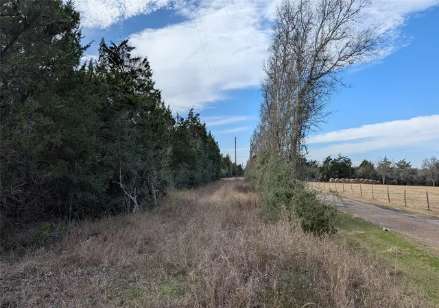 Photo 4 of Land for sale at 1001 County Road 126, Hallettsville, TX 77964 | MLS# 88022648 | Listing updated on 2026-08-24