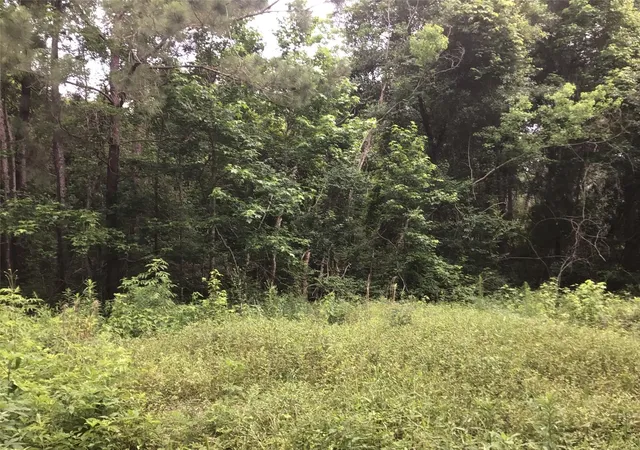 2nd image of 304 N Hwy 321 Hwy, Dayton, TX 77535 | MLS# 8347332