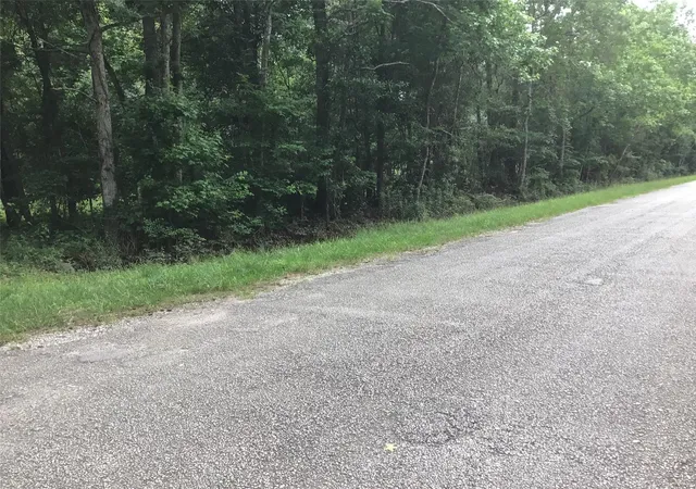 Photo 3 of Land for sale at Tbd Hwy 321 And Cr 304, Dayton, TX 77535 | MLS# 8347332 | Listing updated on 2026-10-06