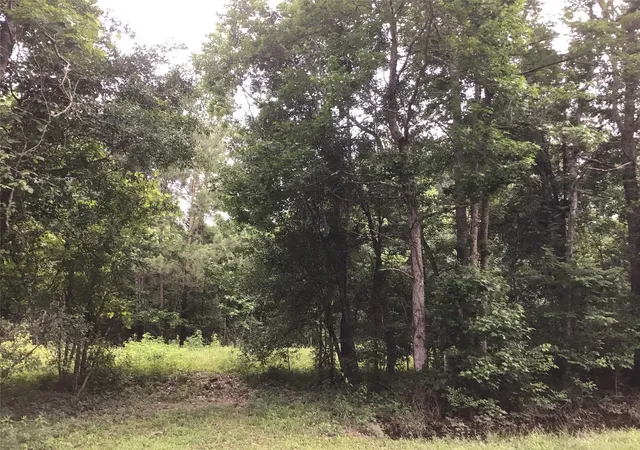4th image of 304 N Hwy 321 Hwy, Dayton, TX 77535 | MLS# 8347332