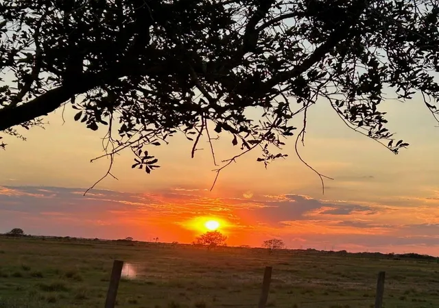 Photo 3 of Land for sale at 17126 Brumbelow Rd, Needville, TX 77461 | MLS# 98411204 | Listing updated on 2026-07-16