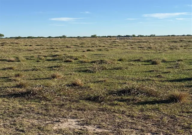 Photo 4 of Land for sale at 17126 Brumbelow Rd, Needville, TX 77461 | MLS# 98411204 | Listing updated on 2026-07-16