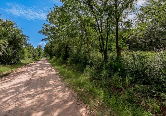 5th image of Tbd County Rd 3495, Weldon, TX 75851 | MLS# 29339425