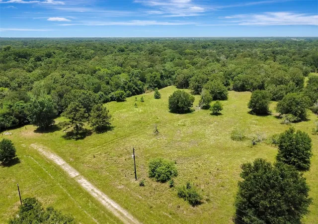 Homes for sale in Bedias, TX | 1722 Stone St, Bedias, TX 77831 | MLS# 14861161