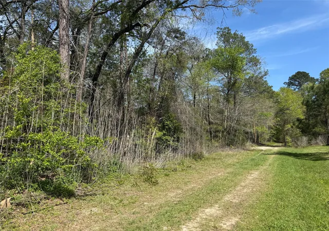 Photo 2 of Land for sale at Tbd White Oak Dr, Conroe, TX 77303 | MLS# 77162003 | Listing updated on 2026-04-07