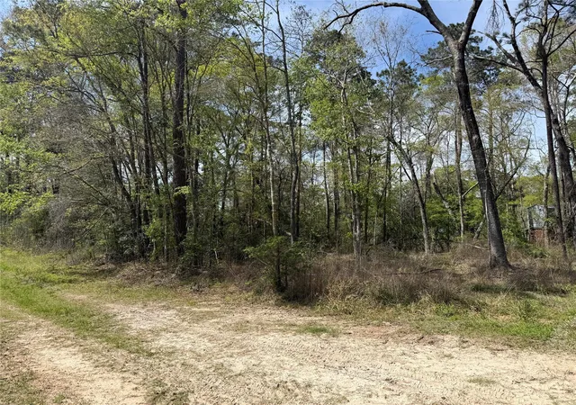 Photo 3 of Land for sale at Tbd White Oak Dr, Conroe, TX 77303 | MLS# 77162003 | Listing updated on 2026-04-07