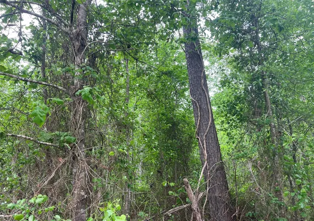 Photo 1 of Land for sale at 000 Cemetery Rd, Liberty, TX 77575 | MLS# 75780114 | Listing updated on 2026-09-11