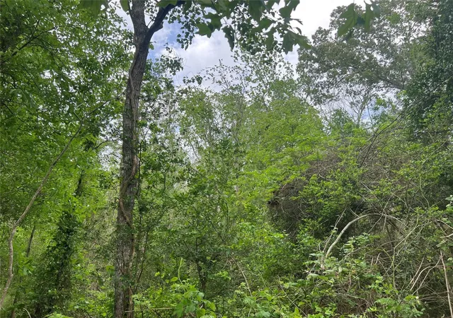 Photo 2 of Land for sale at 000 Cemetery Rd, Liberty, TX 77575 | MLS# 75780114 | Listing updated on 2026-09-11
