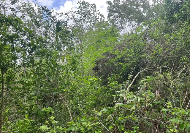 Photo 3 of Land for sale at 000 Cemetery Rd, Liberty, TX 77575 | MLS# 75780114 | Listing updated on 2026-09-11