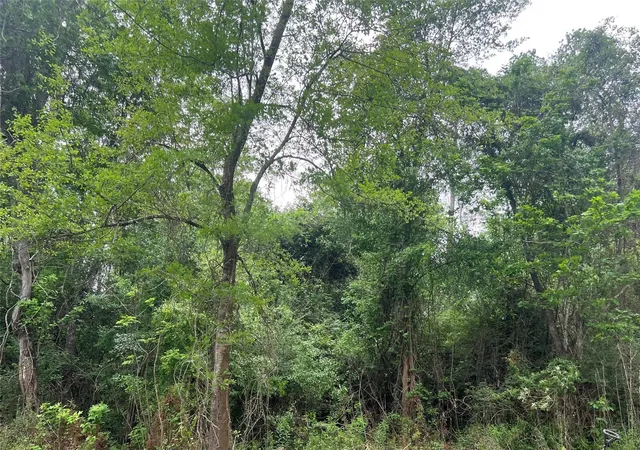 Photo 3 of Land for sale at 000 Cemetery Rd, Liberty, TX 77575 | MLS# 75780114 | Listing updated on 2026-09-11
