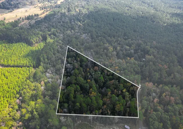 Photo 1 of Land for sale at 11091 Newton Cir, Conroe, TX 77303 | MLS# 21440365 | Listing updated on 2026-07-20