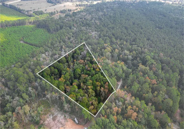 Photo 2 of Land for sale at 11091 Newton Cir, Conroe, TX 77303 | MLS# 21440365 | Listing updated on 2026-07-20