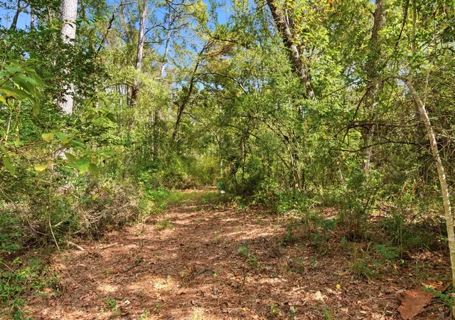 Photo 4 of Land for sale at 11091 Newton Cir, Conroe, TX 77303 | MLS# 21440365 | Listing updated on 2026-07-20