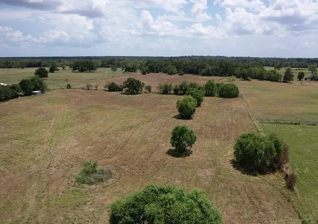 Photo 2 of Land for sale at 14 Ac Halliday Ln, Madisonville, TX 77864 | MLS# 30208355 | Listing updated on 2026-08-28