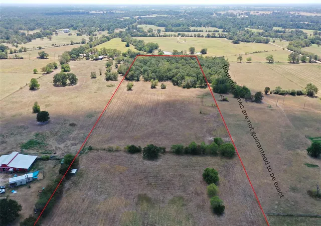 Photo 6 of Land for sale at 14 Ac Halliday Ln, Madisonville, TX 77864 | MLS# 30208355 | Listing updated on 2026-08-28