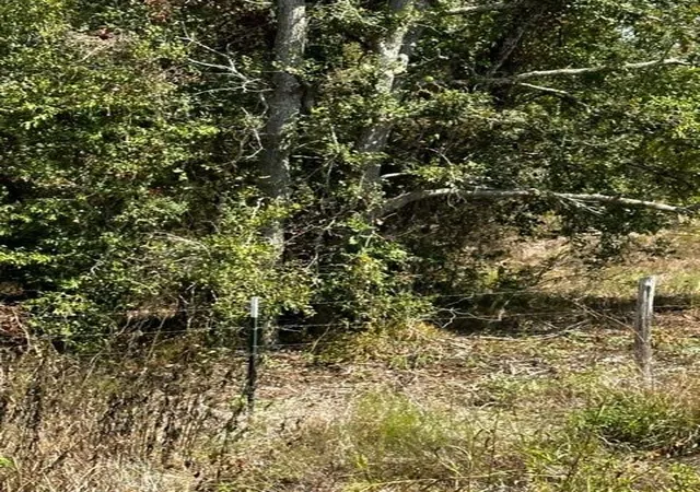 3rd image of Tr 9 County Rd 240, Hallettsville, TX 77964 | MLS# 89574405