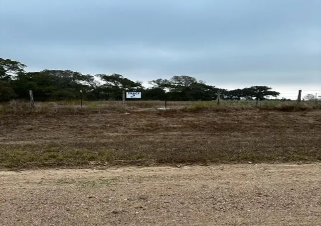 4th image of Tr 9 County Rd 240, Hallettsville, TX 77964 | MLS# 89574405