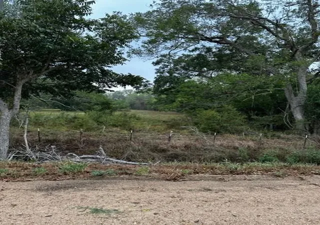 5th image of Tr 9 County Rd 240, Hallettsville, TX 77964 | MLS# 89574405