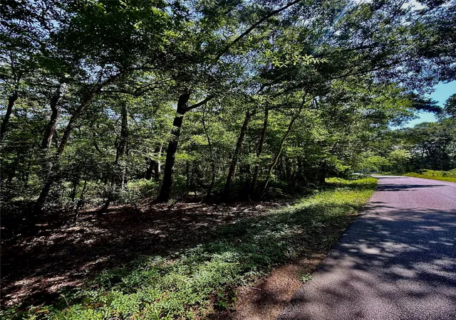 1st image of Tbd Lot 4 Rolling Hills Dr, Porter, TX 77365 | MLS# 69926413