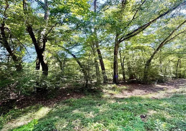 2nd image of Tbd Lot 4 Rolling Hills Dr, Porter, TX 77365 | MLS# 69926413