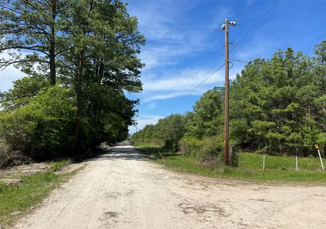 Homes for sale in Bedias, TX | Tract 3 English Rd, Bedias, TX 77831 | MLS# 21766210